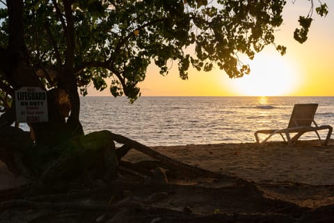 Beach nearby, sun loungers, beach towels