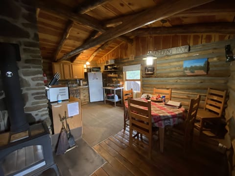 Dining and kitchen area