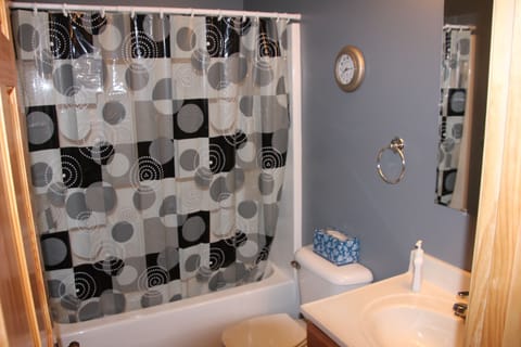 Combined shower/tub, towels, toilet paper