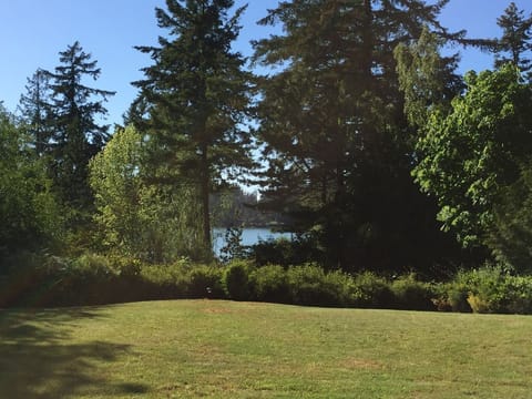 Green, grassy, lawn for lawn games.