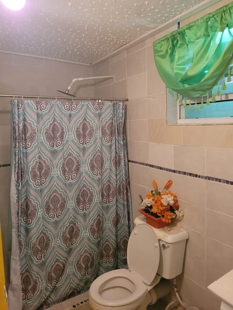 Combined shower/tub, hair dryer, towels