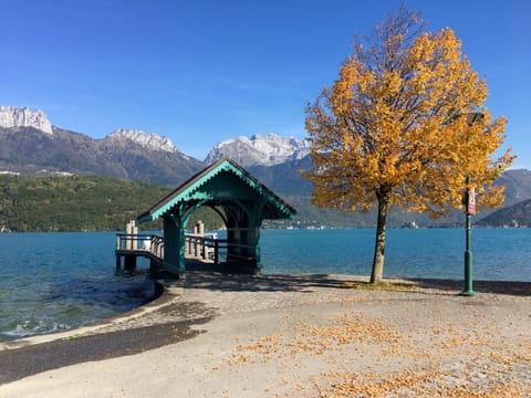 Saint-Jorioz beach at 200m from the house