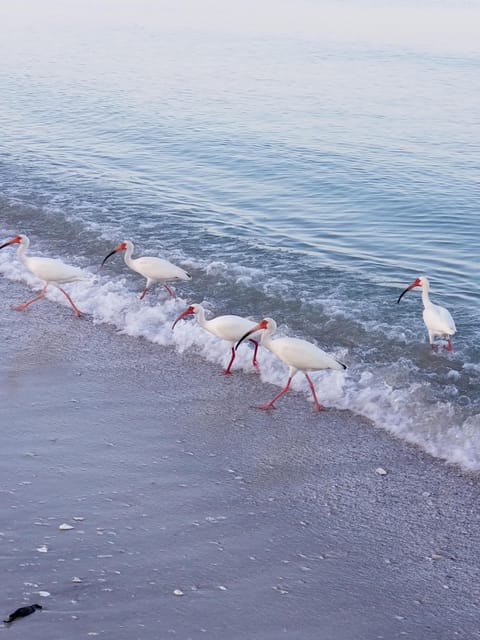 Beach nearby, sun loungers, beach towels