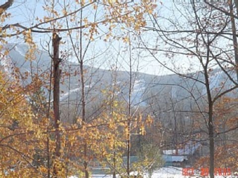 Views of Pico Trails from Deck