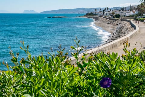 On the beach, sun loungers, beach towels