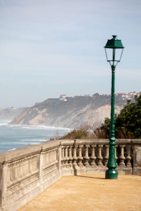 Beach/ocean view