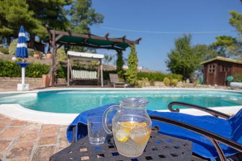 Outdoor pool, sun loungers