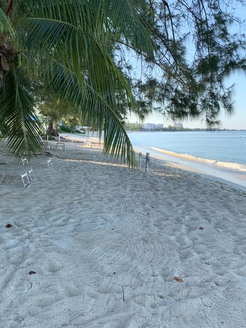 On the beach