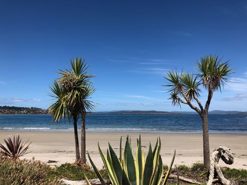 On the beach, sun loungers, beach towels