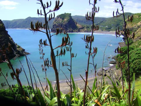 On the beach, sun loungers, beach towels