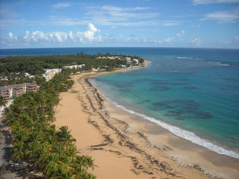 Beach | On the beach, sun loungers, beach towels