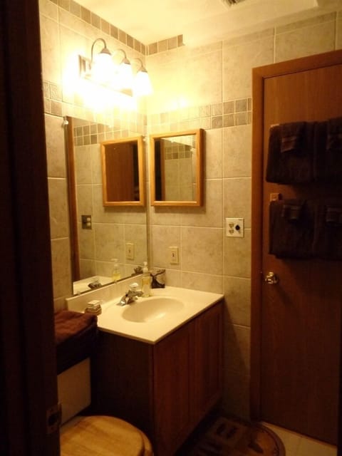 Combined shower/tub, hair dryer, towels, soap