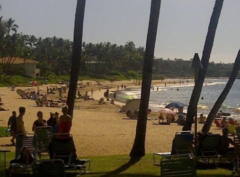 Beach nearby, sun loungers, beach towels