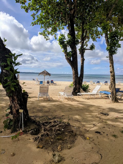 Beach nearby, sun loungers