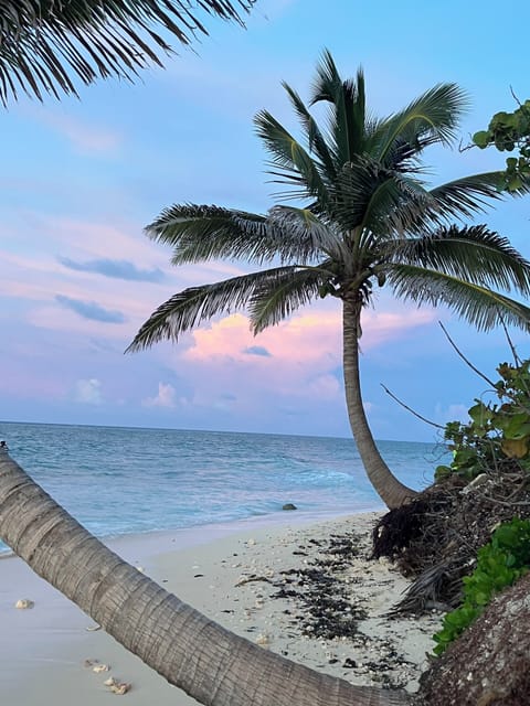 Beach nearby, sun loungers, beach towels