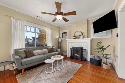 Living Room - Cannot use Fireplace