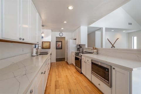 Gourmet kitchen with induction stove, oven, dishwasher