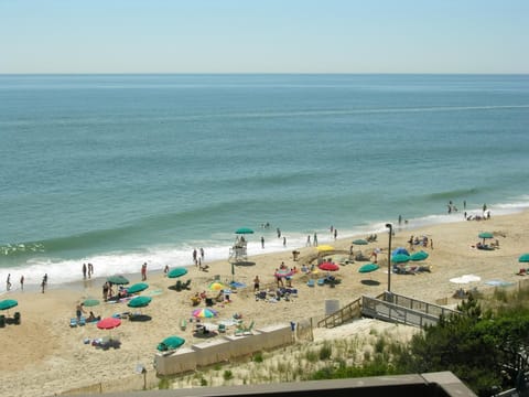 Beach umbrellas