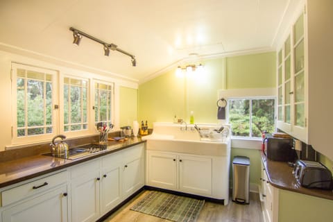 Old cast iron sink and new cabinets made of 100 year old salvaged heart Redwood.