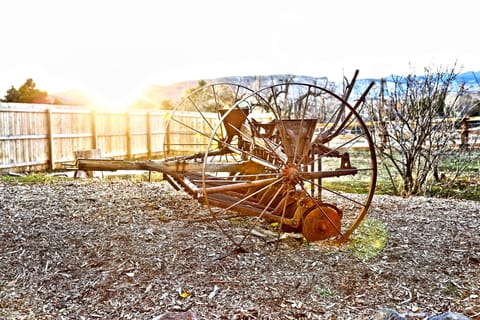 A bit of agricultural history