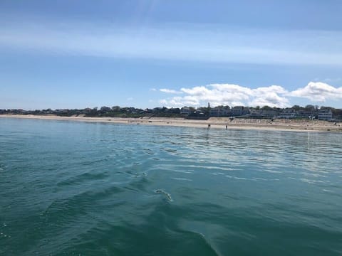 Beach nearby, sun loungers