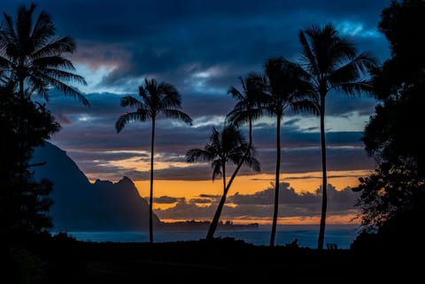 Beach/ocean view