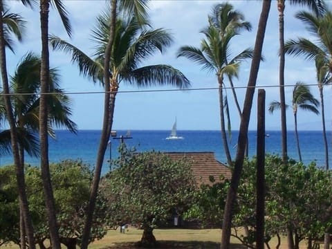 Taken From the Lanai Watching the Boats Returning from Molokini
