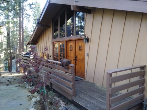 Front of cabin.