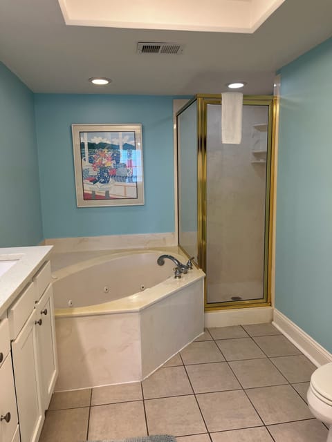 Combined shower/tub, jetted tub, hair dryer, towels