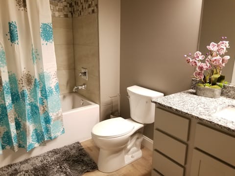 Combined shower/tub, hair dryer, towels, soap