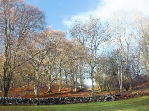 Garden and grounds | Dalbeathie Cottage, Dunkeld