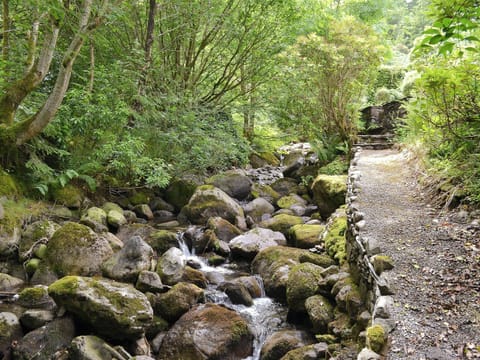 Surrounding area | Joan’s Cottage, Seldom Seen near Thornthwaite