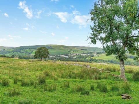 Surrounding area | Widows Cottage, Alston