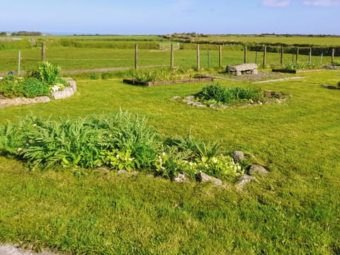 Garden | Ash Tree Cottage, Four Lanes, near Camborne