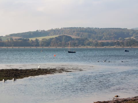Scenic view over the local estuary | Pebbles, Lympstone, near Exmouth