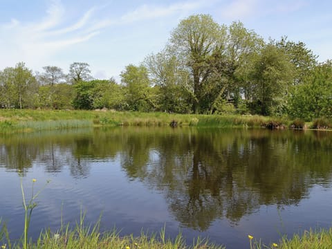 Garden and grounds | Tigh A Vullin, Ardfern, nr. Lochgilphead