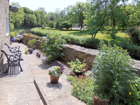 Courtyard garden | The White Cottage, Furness Vale, near Whaley Bridge