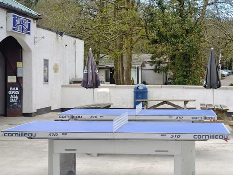 Table tennis | Grace Lands, Lelant, nr. St Ives