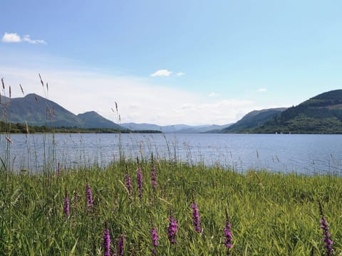 Bassenthwaite | Cumbria, England