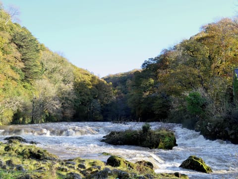 Cenarth Falls | Carmarthenshire, Wales