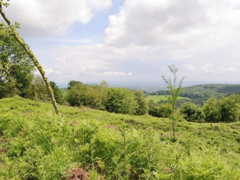 Relaxing rural surroundings | The Hayloft, Edge Hills, near Littledean
