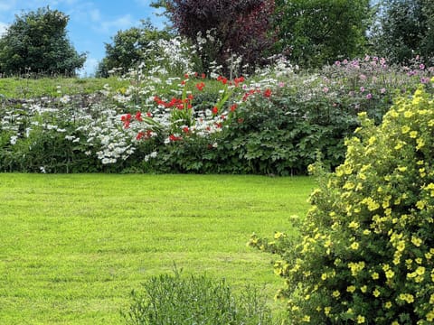 Garden | Granary Cottage - Lyserry Barns, Bosherston, near Pembroke