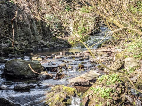 Stream | Woodburn Cottage, Beckside, Kirkby-in-Furness, near Ulverston