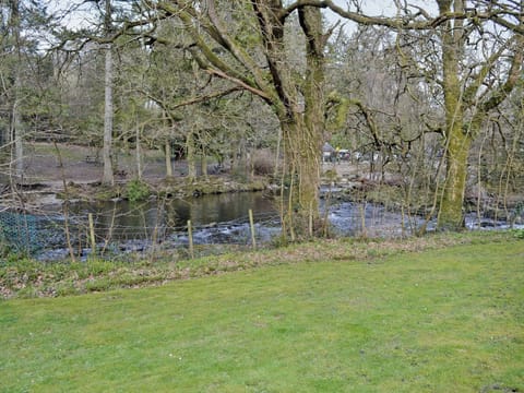 View | Trem Yr Ynys, Betws-y-Coed