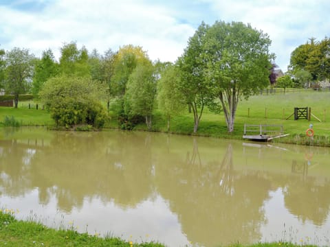 Ideal fishing pond | Oakwood, Cheriton Bishop, near Dartmoor National Park