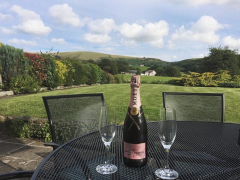 There is a delightful sitting out area in the garden | The Old Post Office, Myddfai, near Llandovery