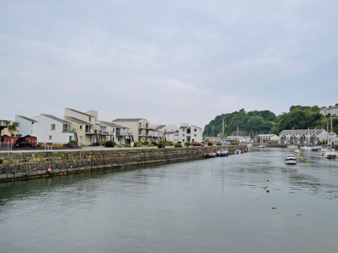 View of local area | Harbour View, Porthmadog