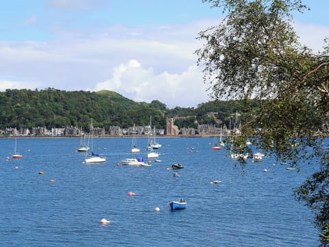 The harbour at Oban | Ardbhan Croft, Oban, near Argyll