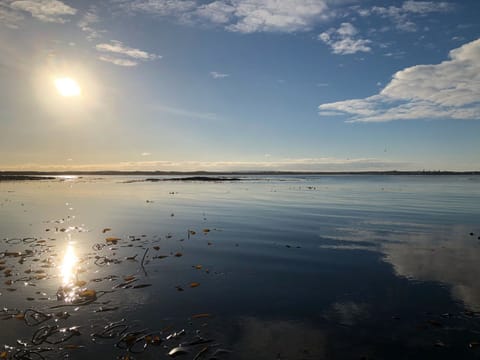 view from Cairnbulg harbour overlooking Fraserburgh | Cotton Shore, Inverallochy, near Fraserburgh
