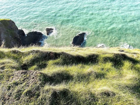 Surrounding area | Seascape, New Quay
